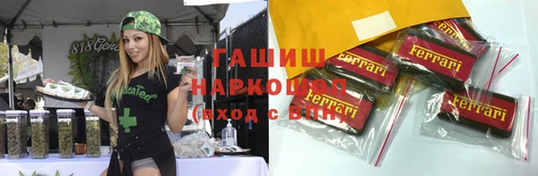 индика Гусиноозёрск