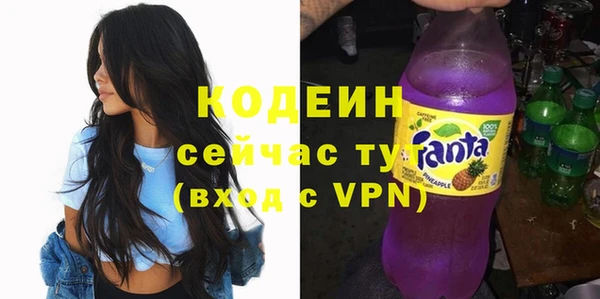 шишки Покачи