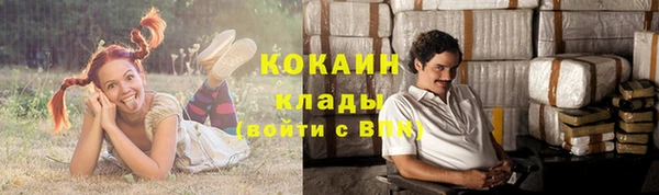 индика Гусиноозёрск