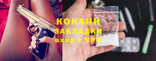 кокс Гусев