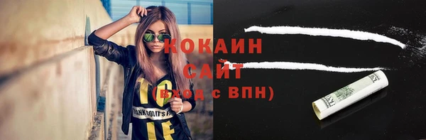 кокс Гусев