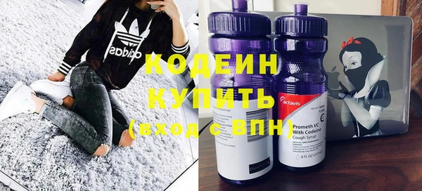 индика Гусиноозёрск