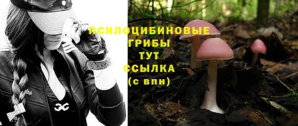 кокс Гусев