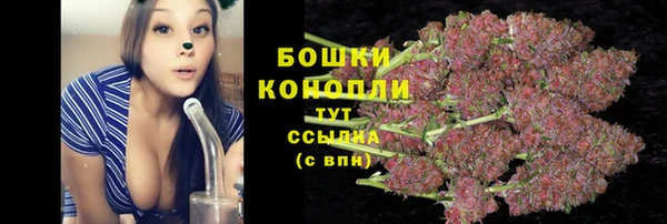 кокс Гусев