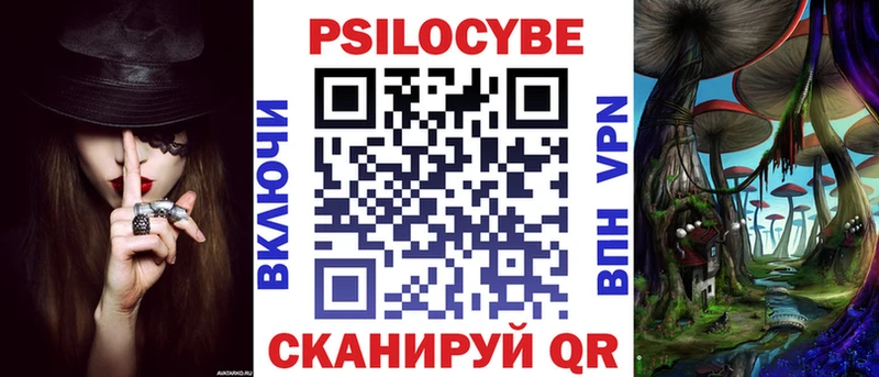Купить где  Лиски  Псилоцибиновые грибы Psilocybine cubensis 